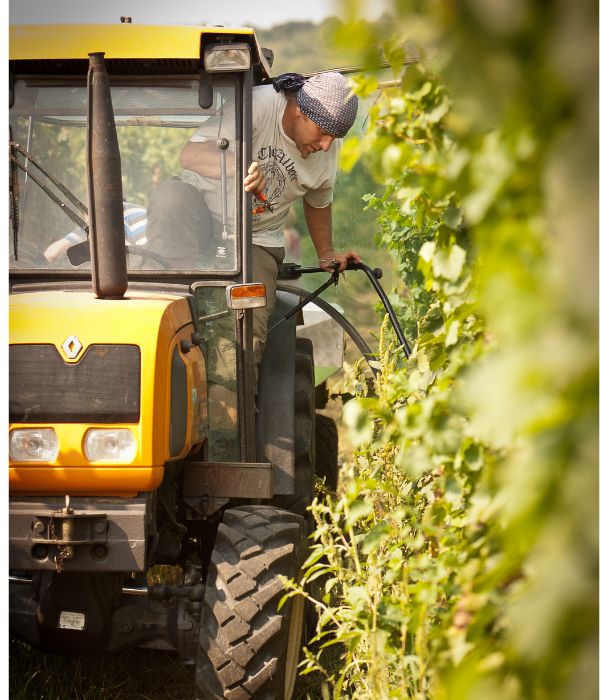 Design ohne Titel (10)